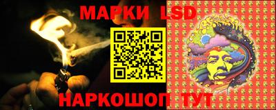шишки Будённовск