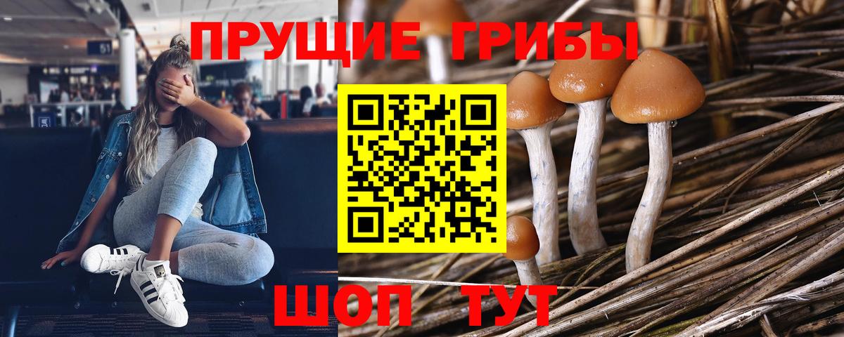даркнет сайт  Вход с VPN  Крымск  Псилоцибиновые грибы ЛСД 